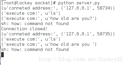 Python网络编程 Python套接字编程