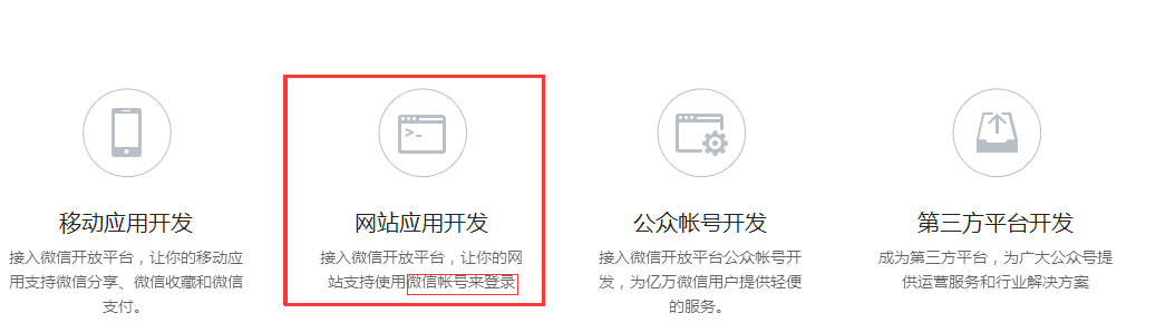 选择“网站应用开发”